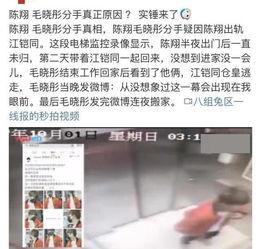 娱乐圈吃瓜李小璐微博,李小璐微博引发热议